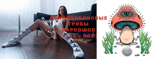 не бодяженный Новодвинск