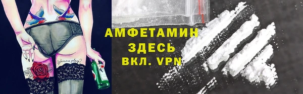 СК Новозыбков