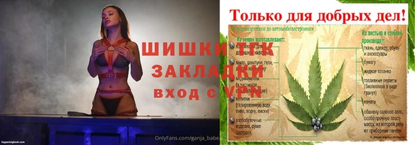 PSILOCYBIN Болотное