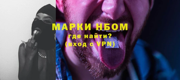 Альфа ПВП Няндома