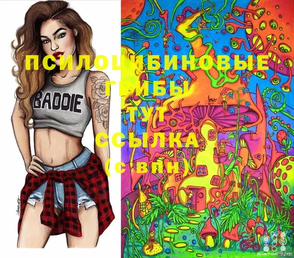 СК Новозыбков