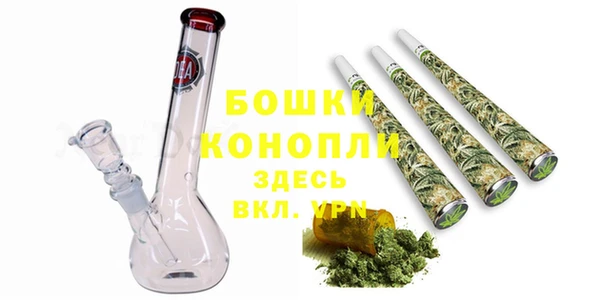 СК Новозыбков