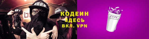 Альфа ПВП Няндома