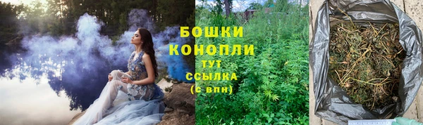 не бодяженный Новодвинск