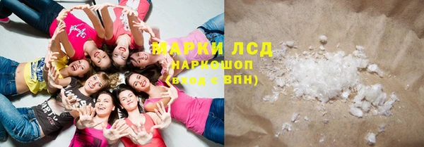 СК Новозыбков