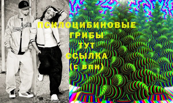 Альфа ПВП Няндома