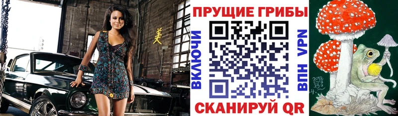 сайты даркнета наркотические препараты  Кувшиново  Галлюциногенные грибы мицелий 